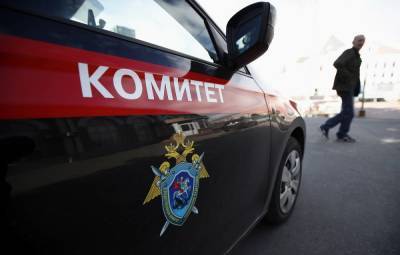 Ольга Врадий - СК возбудил дело о похищении двухлетней девочки в Подмосковье - tass.ru - Москва - Московская обл.