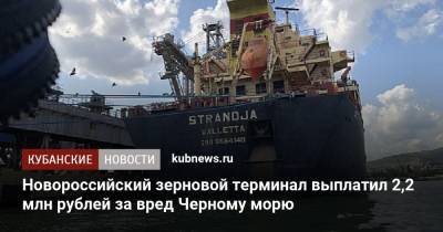 Новороссийский зерновой терминал выплатил 2,2 млн рублей за вред Черному морю - kubnews.ru - Краснодарский край - Новороссийск - Черное Море - Экология