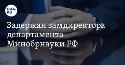 Задержан замдиректора департамента Минобрнауки РФ - ura.news