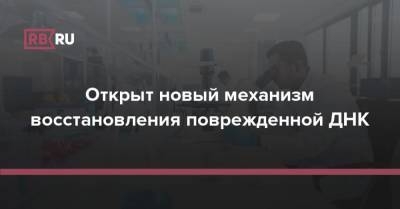 Открыт новый механизм восстановления поврежденной ДНК - rb.ru - Россия