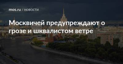 Москвичей предупреждают о грозе и шквалистом ветре - mos.ru - Москва