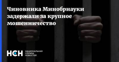 Чиновника Минобрнауки задержали за крупное мошенничество - nsn.fm - Тюменская обл.