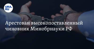 Арестован высокопоставленный чиновник Минобрнауки РФ - ura.news - Москва