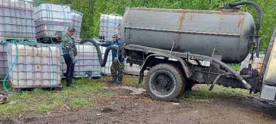 Россельхознадзор выясняет, что за «дрянь» завезли в Карелию под видом «рыбного гидролизата» - stolicaonego.ru - Мурманская обл. - республика Карелия - Экология