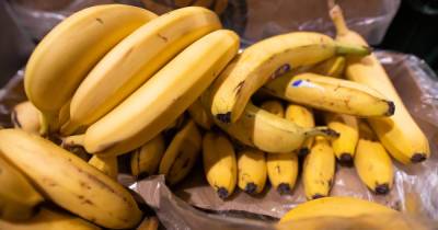 В магазине Варшавы в коробке с бананами нашли 160 кг кокаина - klops.ru - Калининград - Варшава