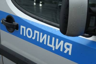 Найдена 2-летняя девочка из Видного, похищенная няней - mk.ru