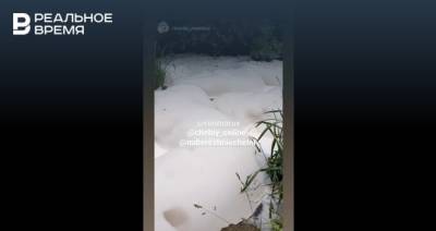 В Челнах сняли на видео пруд рядом с Камой, который покрылся пеной - realnoevremya.ru - респ. Татарстан - Набережные Челны - район Лаишевский - Экология