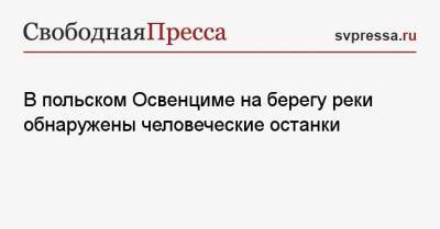 В польском Освенциме на берегу реки обнаружены человеческие останки - svpressa.ru - Московская обл.
