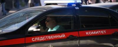 Похитившая двухлетнюю девочку няня найдена в Подмосковье - runews24.ru - Московская обл.