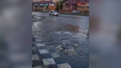 Александр Гусев - В Воронеже фекальная река снова затопила улицу Шишкова - vestivrn.ru - Воронеж