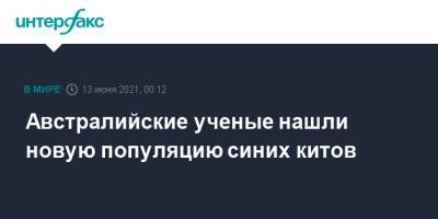 Австралийские ученые нашли новую популяцию синих китов - interfax.ru - Москва - Австралия