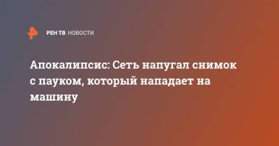 Апокалипсис: Сеть напугал снимок с пауком, который нападает на машину - ren.tv