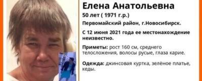 В Новосибирске волонтёры ищут пропавшую 50-летнюю женщину - runews24.ru - Новосибирск