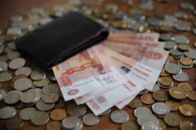 Граждане РФ хотят безусловный доход в 30 тыс. рублей в месяц - volg.mk.ru - Санкт-Петербург - Нижний Новгород - Челябинск - Пермь - Казань - Ростов-На-Дону - Волгоград