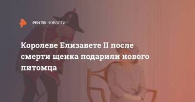 Елизавета II - принц Эндрю - принц Филипп - принцесса Беатрис - Королеве Елизавете II после смерти щенка подарили нового питомца - ren.tv - Англия - Великобритания