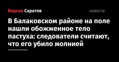 В Балаковском районе на поле нашли обожженное тело пастуха: следователи считают, что его убило молнией - nversia.ru - с. Николаевка