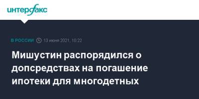 Михаил Мишустин - Мишустин распорядился о допсредствах на погашение ипотеки для многодетных - interfax.ru - Москва