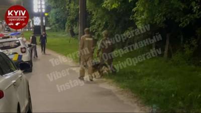Труп голой женщины обнаружен в Киеве возле АЗС (видео) - lenta.ua - Киев