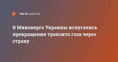 Елена Зеркаль - В Минэнерго Украины испугались прекращения транзита газа через страну - ren.tv - Украина - Киев