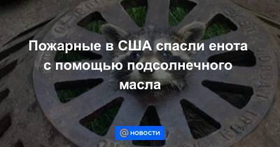 Анна Лысенко - Пожарные в США спасли енота с помощью подсолнечного масла - news.mail.ru - шт. Мичиган