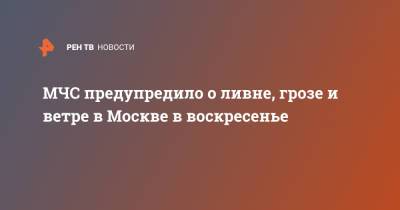 МЧС предупредило о ливне, грозе и ветре в Москве в воскресенье - ren.tv - Москва