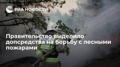Михаил Мишустин - Правительство выделило еще более 2,7 миллиарда рублей на борьбу с лесными пожарами - smartmoney.one