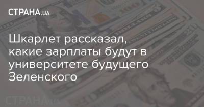 Владимир Зеленский - Сергей Шкарлет - Шкарлет рассказал, какие зарплаты будут в университете будущего Зеленского - strana.ua - Украина