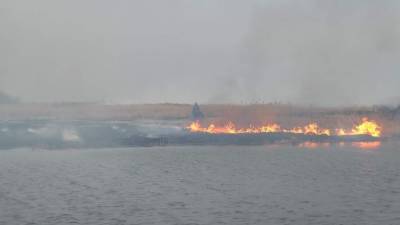 В Тюменской области из-за сильного лесного пожара перекрыли трассу на Омск - znak.com - Тюмень - Тюменская обл. - Омск