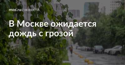 В Москве ожидается дождь с грозой - mos.ru - Москва