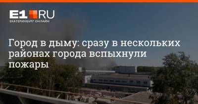 Город в дыму: сразу в нескольких районах города вспыхнули пожары - e1.ru - Екатеринбург