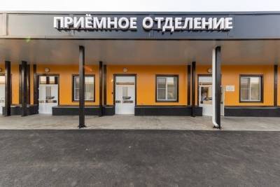 Михаил Ведерников - С 15 июня псковская «инфекционка» начнёт организовывать видеозвонки в реанимацию - mk-pskov.ru - Псковская обл. - Псков