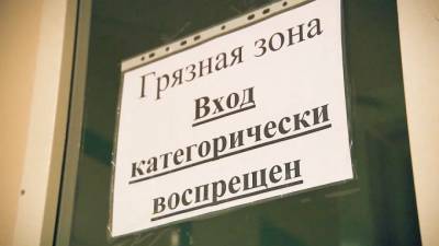 Стало известно число летальных случаев от коронавируса за минувшую неделю - piter.tv - Москва - Санкт-Петербург - Петербург