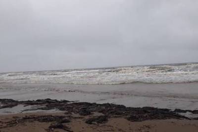 Жители Сахалина обнаружили нефтепродукты на берегу моря - lenta.ru - Сахалин