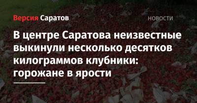 В центре Саратова неизвестные выкинули несколько десятков килограммов клубники: горожане в ярости - nversia.ru - Саратов