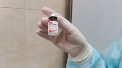 В Петербурге на фестивале Stereoleto можно привиться от коронавируса - piter.tv - Санкт-Петербург