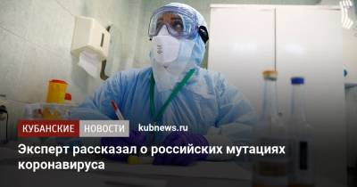Александр Гинцбург - Эксперт рассказал о российских мутациях коронавируса - kubnews.ru - Москва - Россия - Краснодарский край