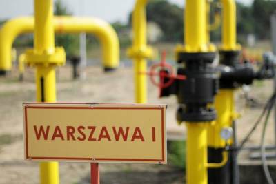 Эксперт рассказал о фиаско антироссийского газового хаба Польши в Свиноуйсьце - newzfeed.ru - Дания - Варшава