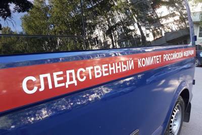 Кристиан Эриксен - Ольга Врадий - СК начал проверку по факту смерти спортсмена во время соревнований в Бронницах - vm.ru - Москва - Дания