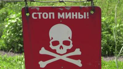 ВСУ под прикрытием гуманитарной миссии минируют Донбасс - vesti.ru - Киев - ДНР - ЛНР - Мариуполь