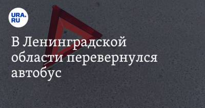 В Ленинградской области перевернулся автобус. Есть пострадавшие - ura.news - Ленинградская обл.