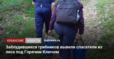 Заблудившихся грибников вывели спасатели из леса под Горячим Ключом - kubnews.ru - Краснодарский край - Краснодар