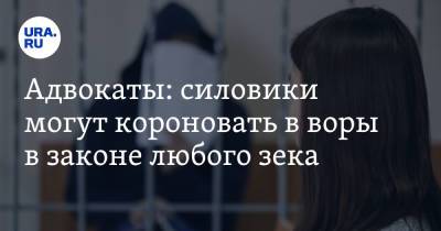 Адвокаты: силовики могут короновать в воры в законе любого зека - ura.news