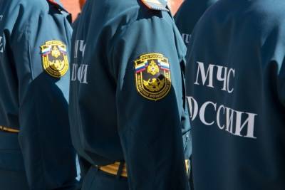 В Тульской области спасатели ведут профилактическую работу с жителями - tula.mk.ru - Архангельск - Тульская обл. - район Каменский