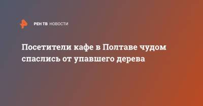 Посетители кафе в Полтаве чудом спаслись от упавшего дерева - ren.tv - Москва - Украина - Полтава