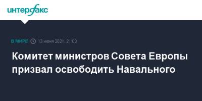 Алексей Навальный - Олег Навальный - Комитет министров Совета Европы призвал освободить Навального - interfax.ru - Москва