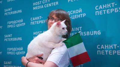 У кота Ахилла из Эрмитажа появился паспорт болельщика - piter.tv - Санкт-Петербург - Турция