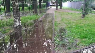 Петербуржцы сообщили о потопе на Замшиной улице - dp.ru - Санкт-Петербург