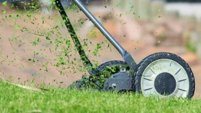 Гипертоникам посоветовали стричь траву на даче для снижения давления - newinform.com