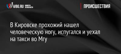 В Кировске прохожий нашел человеческую ногу, испугался и уехал на такси во Мгу - ivbg.ru - Ленинградская обл. - р-н Кировский - Кировск