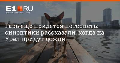 Артем Устюжанин - Гарь еще придется потерпеть: синоптики рассказали, когда на Урал придут дожди - e1.ru - Екатеринбург - Свердловская обл.